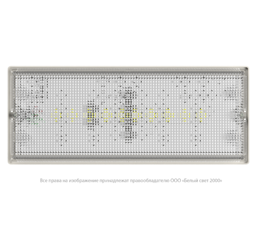 Светильник аварийного освещения BS-UNIVERSAL-51-L2-STABILAR2  a15638  Белый свет