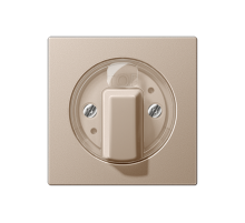 накладка поворотного механизма шампань (лакированный дюропласт)  A1541CH  Jung