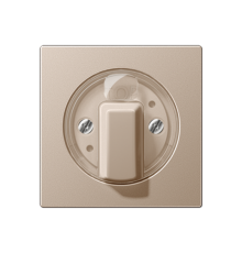 накладка поворотного механизма шампань (лакированный дюропласт)  A1541CH  Jung