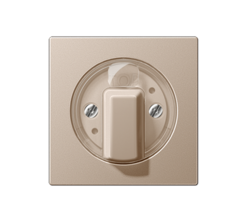 накладка поворотного механизма шампань (лакированный дюропласт)  A1541CH  Jung