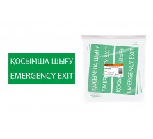 Знак "ЗАПАСНЫЙ ВЫХОД" 200х100мм (казахский язык)  SQ0817-0078  TDM