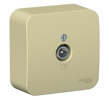 Blanca Бежевый О/У с изолирующей пластиной Розетка TV  BLNTA000017  SE