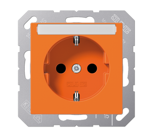 SCHUKO розетка с полем для надписи 6x46 мм A1520BFNAO Jung