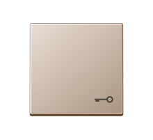 Клавиша с символом "замок"; шампань  A590TCH  Jung