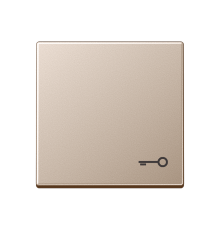 Клавиша с символом "замок"; шампань  A590TCH  Jung