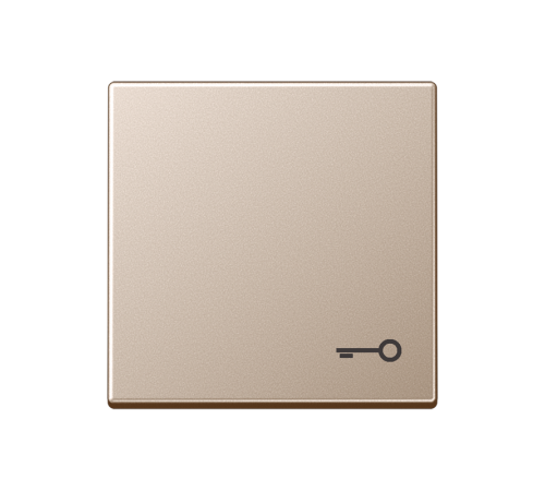 Клавиша с символом "замок"; шампань  A590TCH  Jung