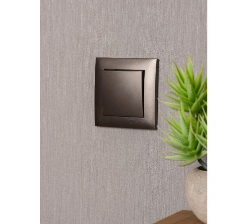 Валенсия лицевая панель выключателя 1-кл. 10А графит EKF PROxima   ESV10-L-021-60   EKF