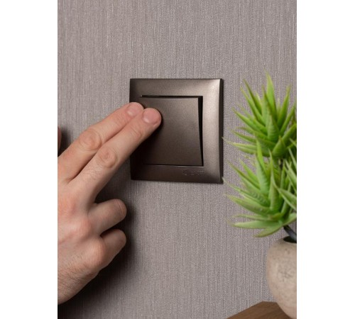 Валенсия лицевая панель выключателя 1-кл. 10А графит EKF PROxima   ESV10-L-021-60   EKF