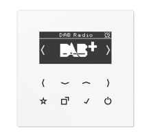 Цифровое радио DAB + DABLSWW Jung