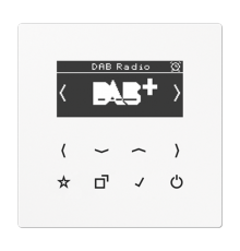 Цифровое радио DAB + DABLSWW Jung