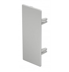 Торцевая заглушка кабельного канала WDK 60x150 мм (ПВХ,светло-серый) (WDK HE60150LGR)  6183840  OBO Bettermann