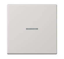 Клавиша для KNX кнопки, 1 группа, с окошком; дюропласт; светло-серый  LS101KO5LG  Jung