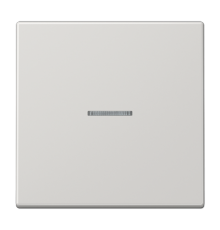 Клавиша для KNX кнопки, 1 группа, с окошком; дюропласт; светло-серый  LS101KO5LG  Jung
