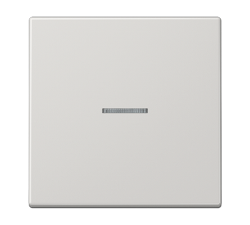Клавиша для KNX кнопки, 1 группа, с окошком; дюропласт; светло-серый  LS101KO5LG  Jung