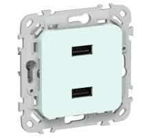 FLITE Розетка USB A+A 2,1А РЮ-2-ФлХЛ холодный лед  FI-U21-D31-K94  IEK