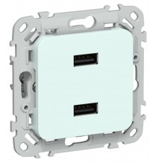 FLITE Розетка USB A+A 2,1А РЮ-2-ФлХЛ холодный лед  FI-U21-D31-K94  IEK