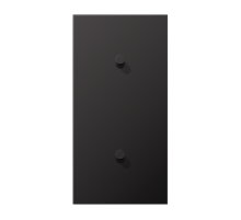 Центральная плата, 2 поста, для вертикальной установки, тумблеры 1+1,конус; металлическое исполнение; Dark; серия LS  AL12-20DK01  Jung