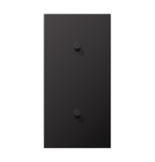 Центральная плата, 2 поста, для вертикальной установки, тумблеры 1+1,конус; металлическое исполнение; Dark; серия LS  AL12-20DK01  Jung