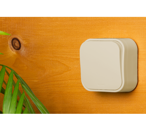 Quteo Слоновая кость Выключатель 1-клавишный 10А  782230  Legrand