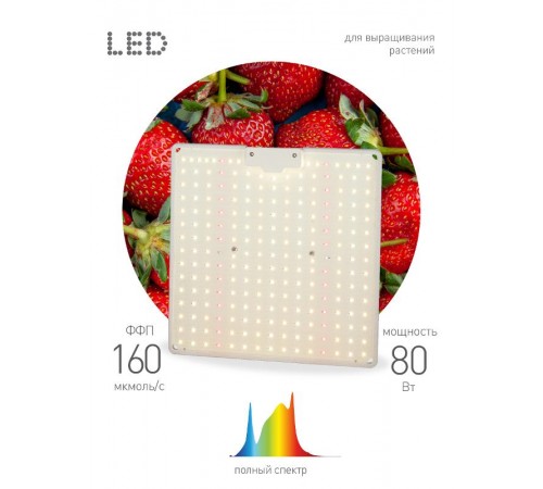Фитопрожектор для растений светодиодный 80Вт FITO-80W-LED-QB Quantum board  Б0053285  ЭРА