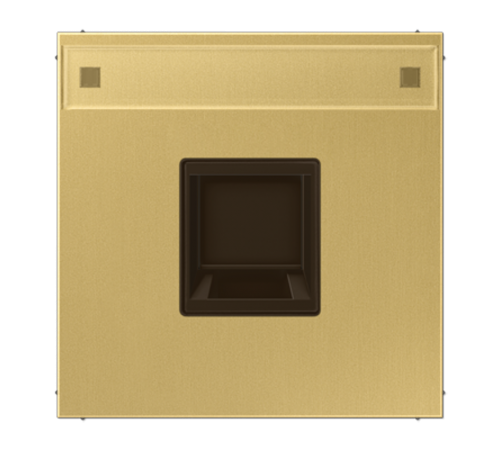 Плата (фиксация защёлкиванием) для одного модуля с полем для надписи; металл; латунь Classic ME1969-1NAWEC Jung