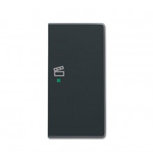 SRS-2-R-81 Клавиша двойная правая free@home, сцена, future, антрацит6220-0-0173 ABB