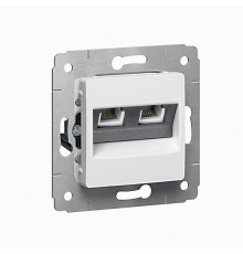 Cariva DIY Розетка RJ11 - 2 входа, белая  695951  Legrand