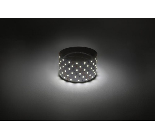 Лента светодиодная  LS2835 -4,8-60-12-4000K-IP20-1 year-50m дневной белый 50м  Б0059922  ЭРА