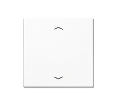 Центральная плата для вставок управления двигателями A1700PWW Jung