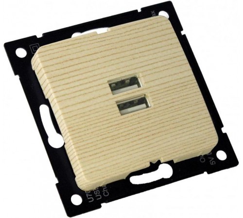 РС-USB-420-02 Розетка "Мастер" USB, С/У, механизм, цвет сосна  РС-USB-420-02  HEGEL