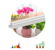 Светильник светодиодный для растений полного спектра FITO-14W-T5-Ra90 (30)  Б0049312  ЭРА