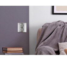 Розетка двойная с заземлением - Legrand Inspiria - со шторками в сборе 16А 250В безвинтовые зажимы - алюминий  673757  Legrand