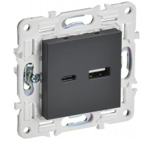 SKANDY Розетка USB A+C 3,1А SK-R14T титан  SK-U22-D31-K48  IEK