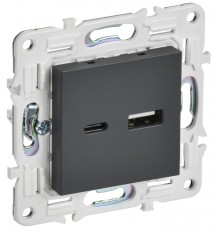 SKANDY Розетка USB A+C 3,1А SK-R14T титан  SK-U22-D31-K48  IEK