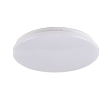 Светильник светодиодный декоративный бытовой PPB STARWAY-2 24w 4000K IP20 D260*55  .5025479  Jazzway