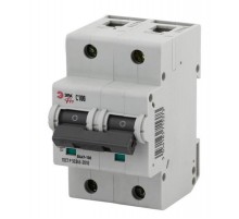 Выключатель автоматический двухполюсный NO-902-278 ВА47-100 2Р 100А 10 кА кривая С (6/60/1440) Pro  Б0048868  ЭРА