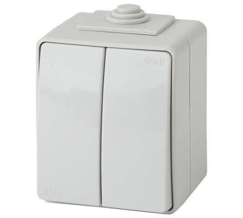 Переключатель 2-клавишный IP65, 10АХ-250В, ОУ, 11-1606-03 Эра Эксперт, Серый  Б0035979  ЭРА