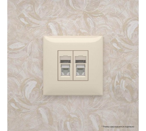 Розетка RJ-45 в стену, кат.6 двойная, Avanti, "Ванильная дымка"  4405294  DKC