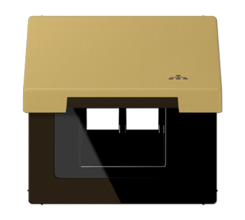 Накладка и крышка для двойных UAE розеток с символом "сеть"; металл; латунь Classic  ME2990KLLANC  Jung