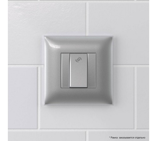Диммер кнопочный в стену для LED ламп, "Avanti", "Закаленная сталь"  4404343  DKC