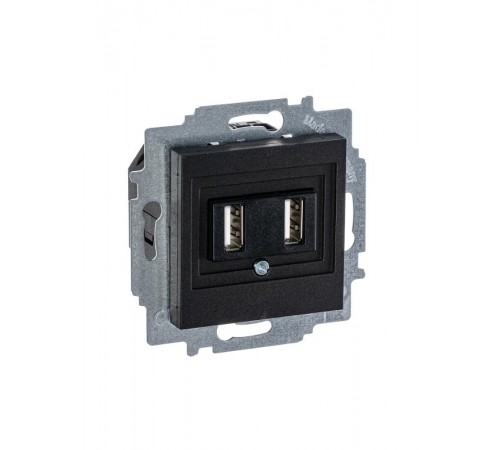 ABB Levit Антрацит USB зарядка 2-ая  5014H-A00040 63W  2CHH290040A6063  ABB