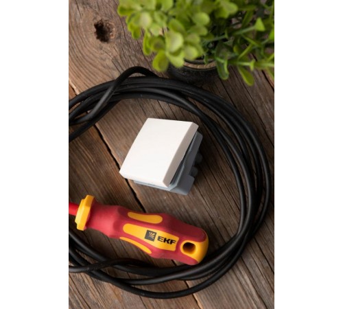 Выключатель 10А,  1 клавишный без индикатора  E2MV10-021-10  EKF