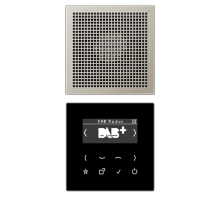 Цифровое радио DAB +  DABES1 Jung