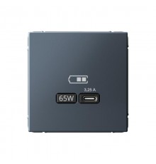 ArtGallery Грифель Розетка USB тип-С 65Вт высокоскор.заряд. QC, PD, механизм  GAL000727  SE