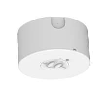 Светильник светодиодный ДВО/ДПО  "ВАРТОН" Dwell непостоянного 3.5W IP65 2ч Self-Test  V1-EM-00481-01AST-6500365  Varton