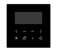 Дисплей DABLSBT-DISPSW Jung