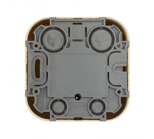 Quteo Сосна Розетка TV  782269  Legrand