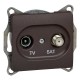 Glossa Шоколад TV-SAT Розетка оконечная 1DB  GSL000897  SE