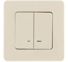Inspiria Слоновая кость Выключатель 2-клавишный с подсветкой С/У без рамки  673631  Legrand