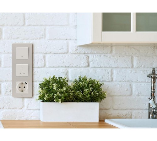 Inspiria Слоновая кость Выключатель 2-клавишный с подсветкой С/У без рамки  673631  Legrand